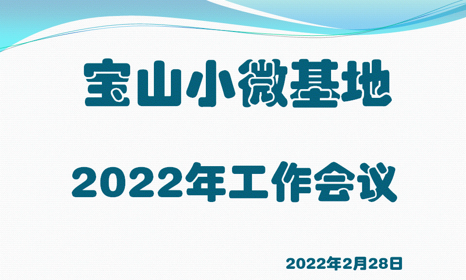 宝山区小微基地举行2022年工作座谈会